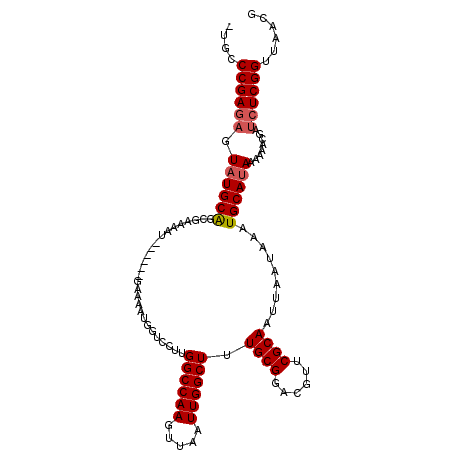 secondary structure