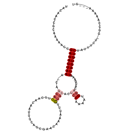 secondary structure