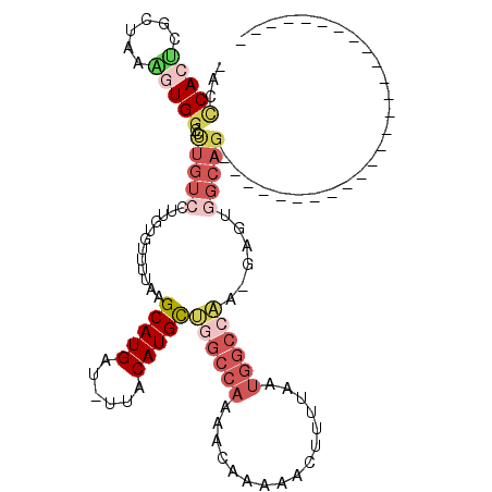 secondary structure