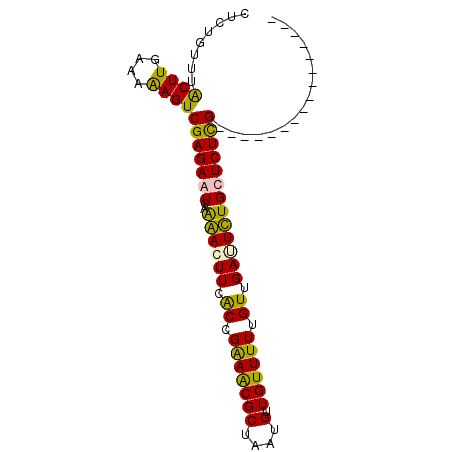 secondary structure