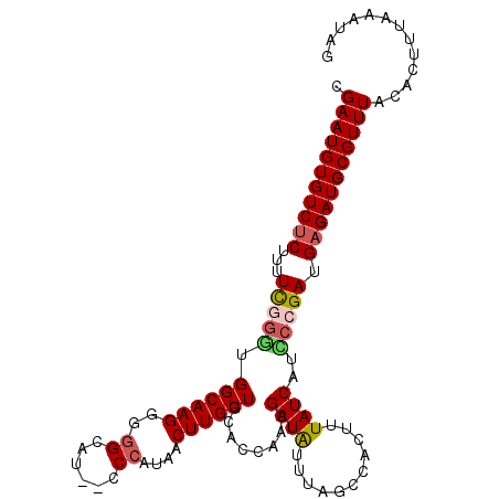 secondary structure
