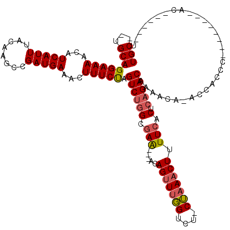 secondary structure