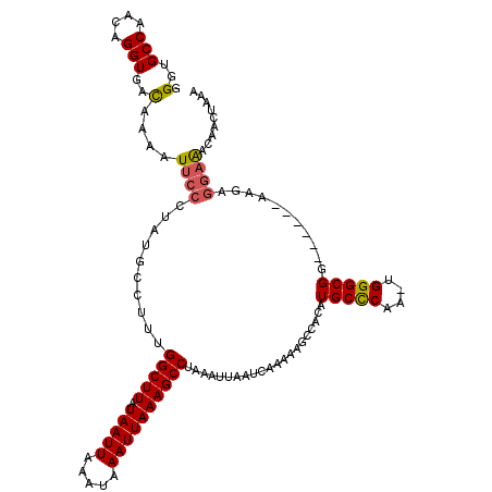 secondary structure