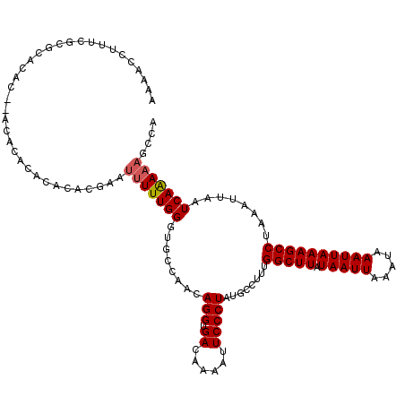secondary structure