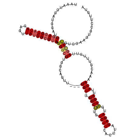 secondary structure