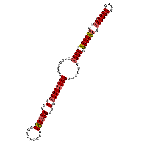 secondary structure