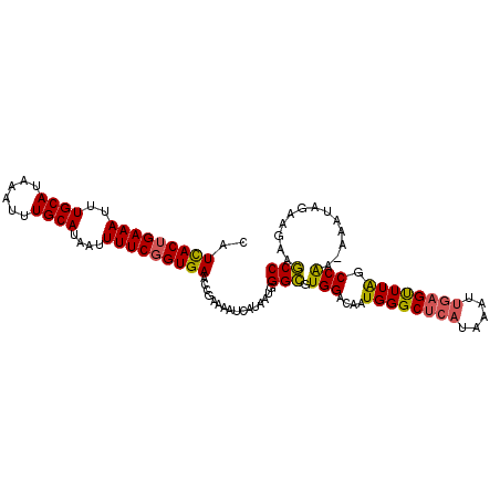 secondary structure