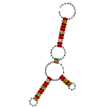 secondary structure