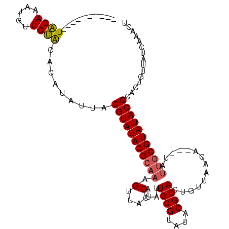secondary structure