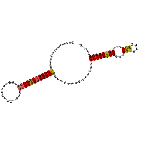 secondary structure