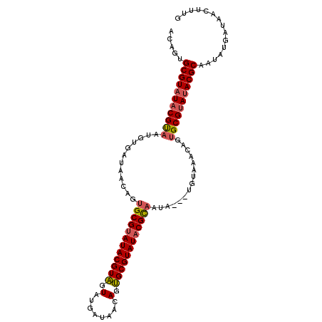 secondary structure