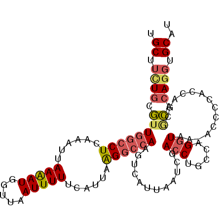secondary structure