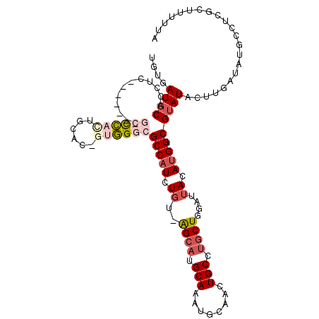 secondary structure