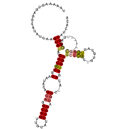secondary structure