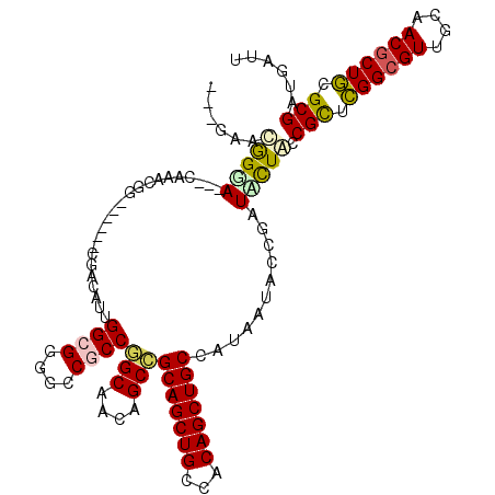 secondary structure