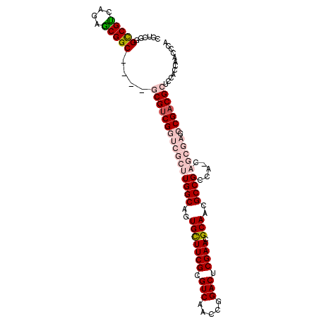 secondary structure