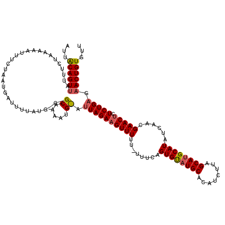 secondary structure