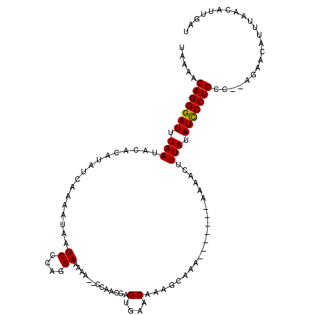 secondary structure
