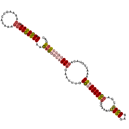 secondary structure