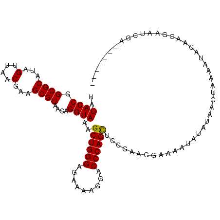 secondary structure