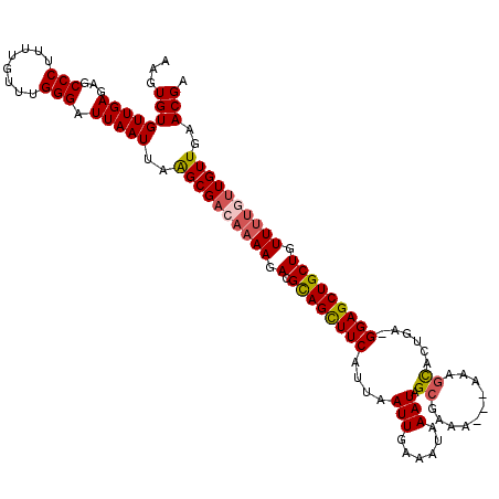 secondary structure