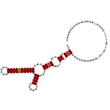 secondary structure