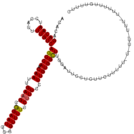secondary structure