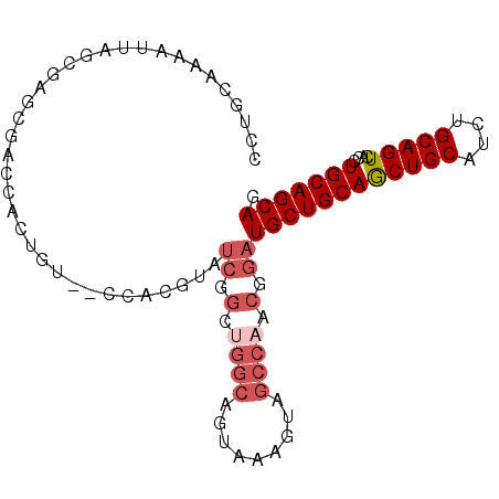 secondary structure