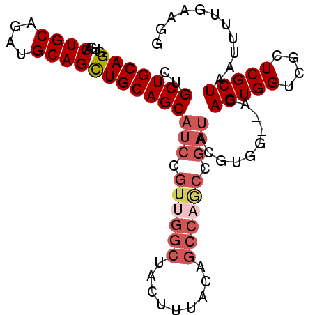 secondary structure