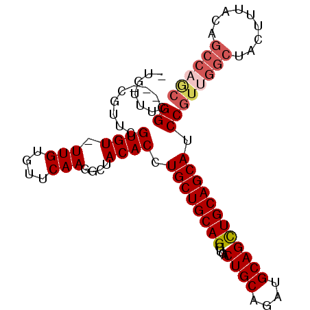 secondary structure