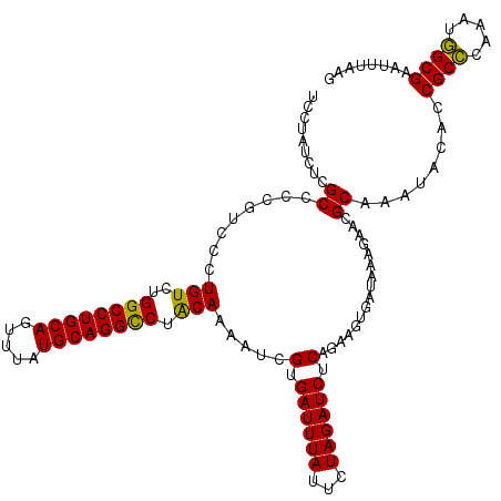 secondary structure