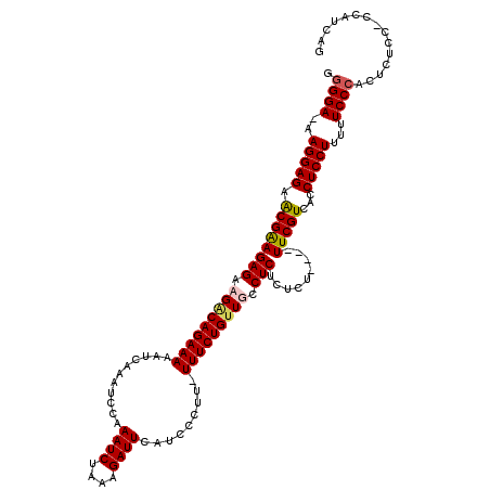 secondary structure