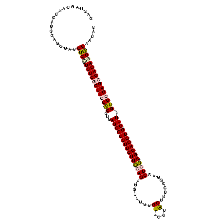 secondary structure