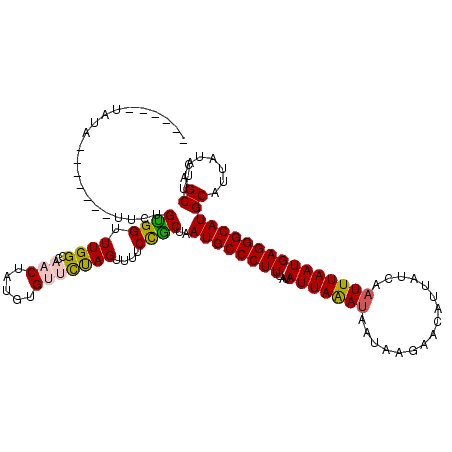 secondary structure