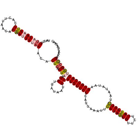secondary structure