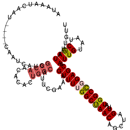 secondary structure