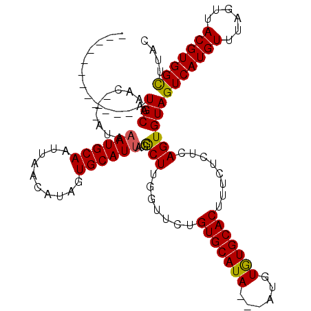 secondary structure