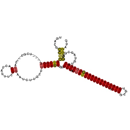 secondary structure