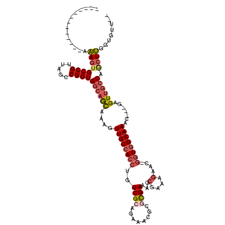 secondary structure