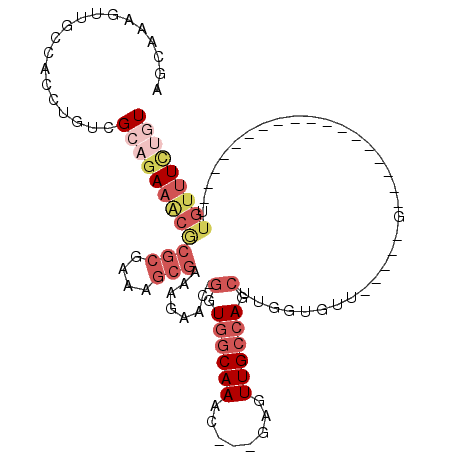 secondary structure
