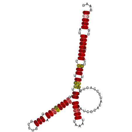 secondary structure