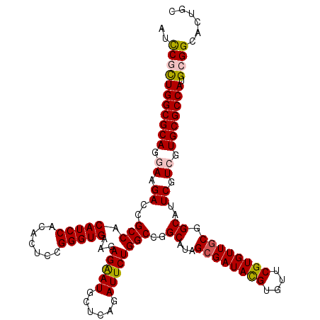 secondary structure