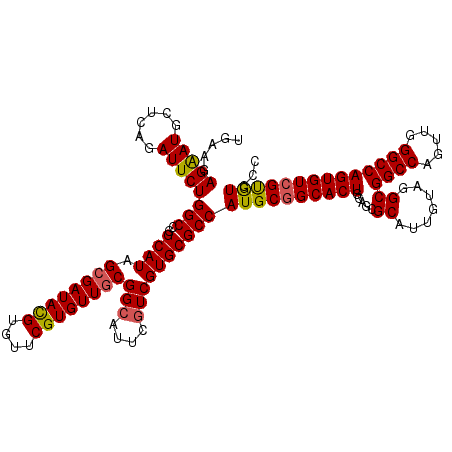 secondary structure