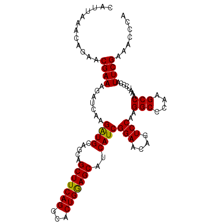 secondary structure