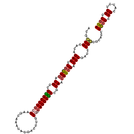 secondary structure