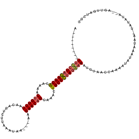 secondary structure