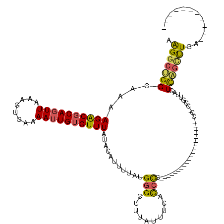 secondary structure