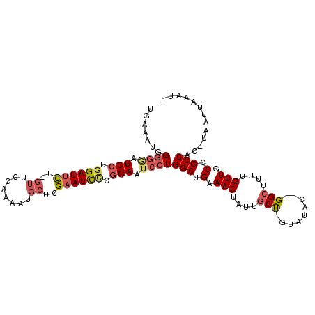 secondary structure
