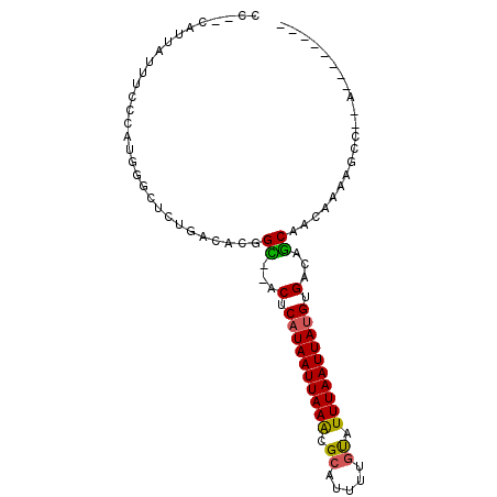 secondary structure