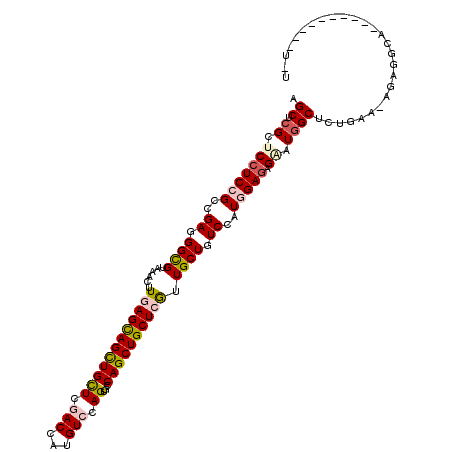 secondary structure
